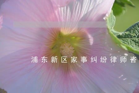 浦东新区家事纠纷律师咨询热线 浦东新区家事纠纷律师咨询热线