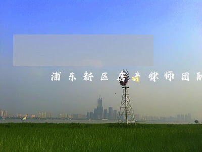 浦东新区房产律师团队 浦东新区房产律师团队