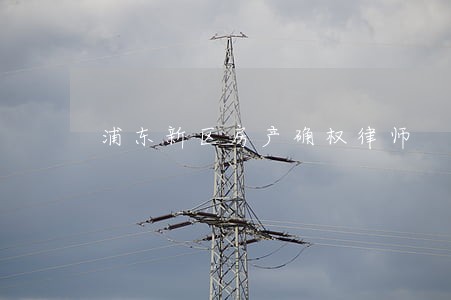 浦东新区房产确权律师 浦东新区房产确权律师