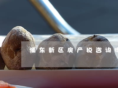 浦东新区房产税咨询律师哪个好