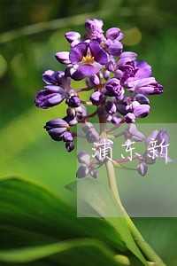 浦东新区房地产案件律师 浦东新区房地产案件律师