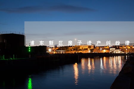 浦东新区房子遗产纠纷律师 浦东新区房子遗产纠纷律师