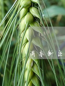 浦东新区房屋侵权纠纷律师介绍 浦东新区房屋侵权纠纷律师介绍