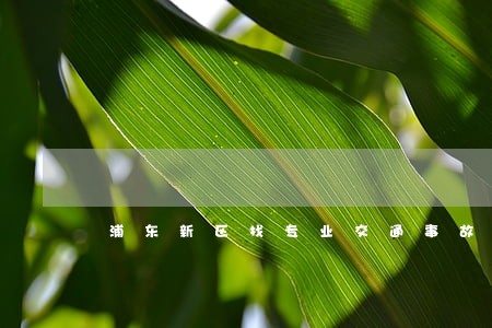 浦东新区找专业交通事故赔偿律师 浦东新区找专业交通事故赔偿律师
