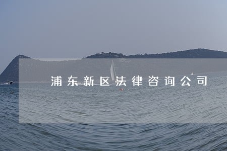 浦东新区法律咨询公司 浦东新区法律咨询公司