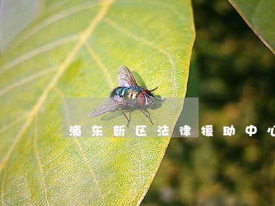 浦东新区法律援助中心地址电话 浦东新区法律援助中心地址电话