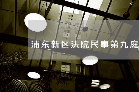 浦东新区法院民事第九庭庭长吴敏 浦东新区法院民事第九庭庭长吴敏