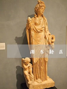 浦东新区破产重组律师推荐 浦东新区破产重组律师推荐