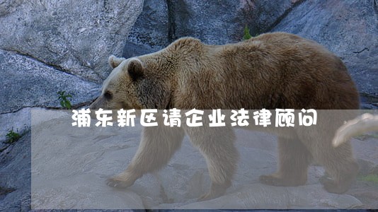 浦东新区请企业法律顾问 浦东新区请企业法律顾问