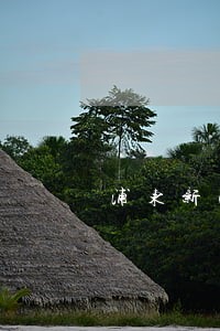 浦东新区贪污案件律师咨询 浦东新区贪污案件律师咨询