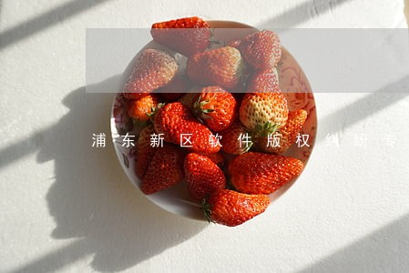 浦东新区软件版权纠纷专业律师 浦东新区软件版权纠纷专业律师