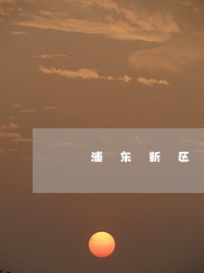 浦东新区集资诈骗律师联系方式 浦东新区集资诈骗律师联系方式