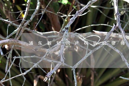 浦东新知识产权诉讼律师顾问费 浦东新知识产权诉讼律师顾问费