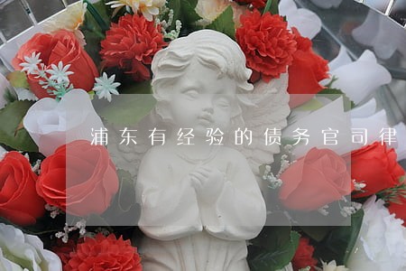 浦东有经验的债务官司律师 浦东有经验的债务官司律师