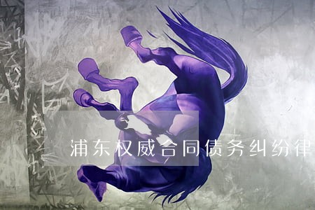 浦东权威合同债务纠纷律师收费 浦东权威合同债务纠纷律师收费