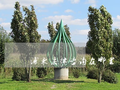 浦东法律咨询在哪里 浦东法律咨询在哪里
