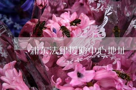 浦东法律援助中心地址 浦东法律援助中心地址