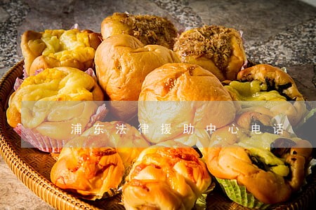 浦东法律援助中心电话 浦东法律援助中心电话
