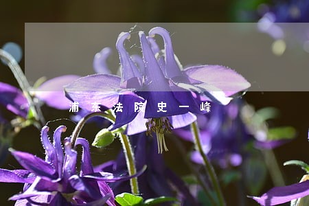 浦东法院史一峰 浦东法院史一峰