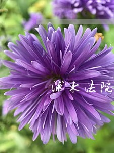 浦东法院执行庭戴玉龙 浦东法院执行庭戴玉龙