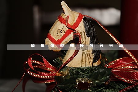 浦东法院昨晚展开行动