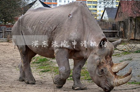 浦东法院申请执行 浦东法院申请执行