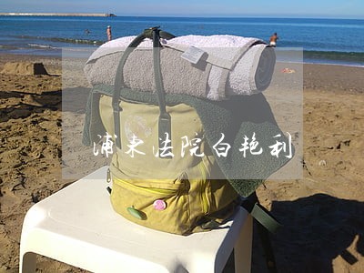 浦东法院白艳利 浦东法院白艳利