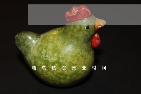 浦东法院营业时间 浦东法院营业时间