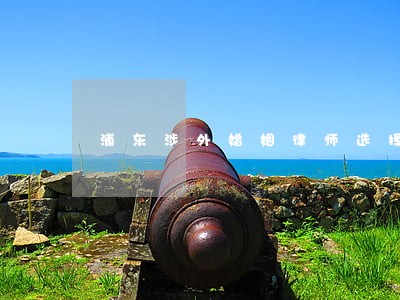 浦东涉外婚姻律师选择 浦东涉外婚姻律师选择