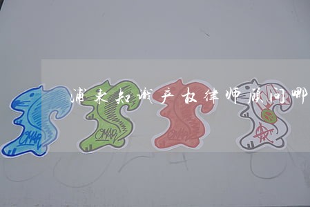 浦东知识产权律师顾问哪个比较好 浦东知识产权律师顾问哪个比较好