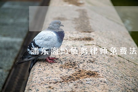 浦东离婚债务律师免费法律咨询 浦东离婚债务律师免费法律咨询