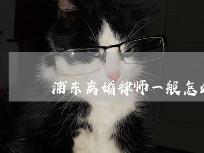 浦东离婚律师一般怎么收费 浦东离婚律师一般怎么收费