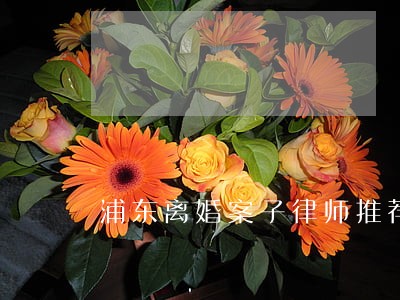 浦东离婚案子律师推荐