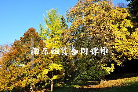浦东租赁合同律师 浦东租赁合同律师