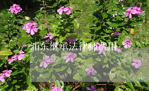 浦东继承法律师费用 浦东继承法律师费用