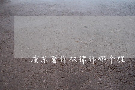 浦东著作权律师哪个强 浦东著作权律师哪个强