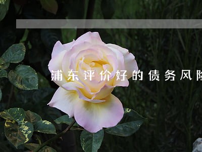 浦东评价好的债务风险代理律师 浦东评价好的债务风险代理律师