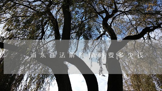 浦东违法解除律师要多少钱 浦东违法解除律师要多少钱