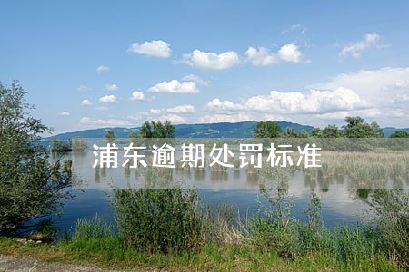 浦东逾期处罚标准 浦东逾期处罚标准