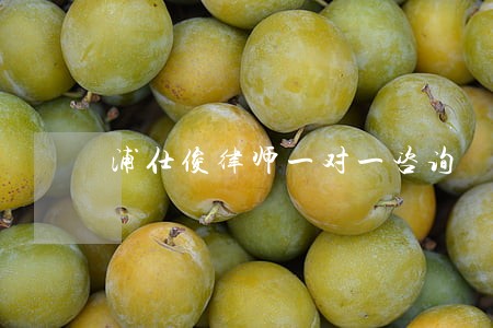 浦仕俊律师一对一咨询 浦仕俊律师一对一咨询