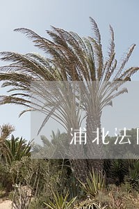 浦北法院春节慰问 浦北法院春节慰问