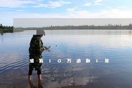 浦发10万逾期1年 浦发10万逾期1年