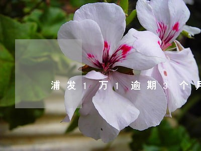 浦发1万1逾期3个月停卡 浦发1万1逾期3个月停卡