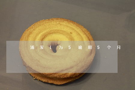 浦发1万5逾期5个月 浦发1万5逾期5个月
