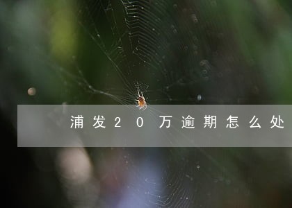 浦发20万逾期怎么处理 浦发20万逾期怎么处理
