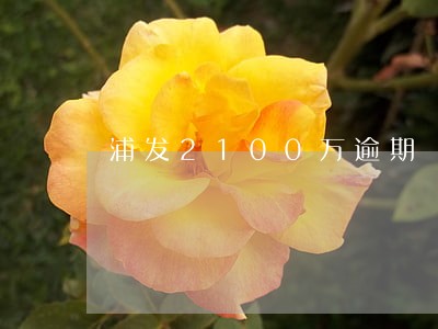 浦发2100万逾期 浦发2100万逾期