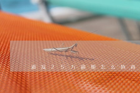 浦发25万逾期怎么协商 浦发25万逾期怎么协商