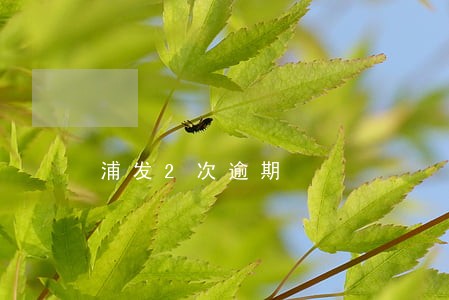 浦发2次逾期 浦发2次逾期