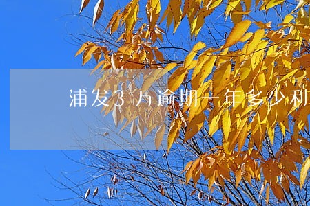 浦发3万逾期一年多少利息 浦发3万逾期一年多少利息