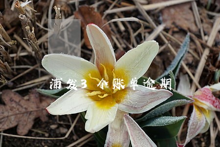 浦发3个账单逾期 浦发3个账单逾期